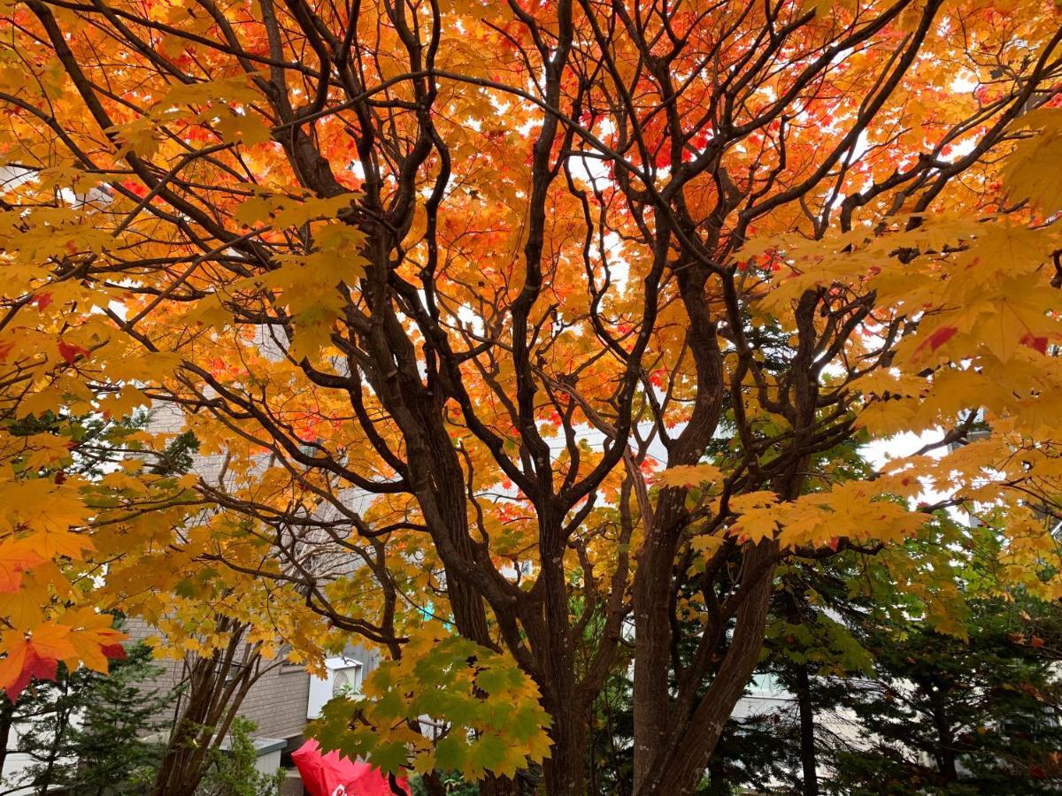Hdo Sumikawa Villa Sapporo Luaran gambar